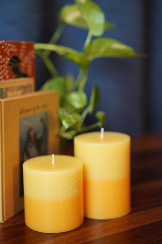 Color Pillar Candle - Teal Tree India