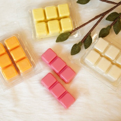 Wax Melts - Teal Tree India